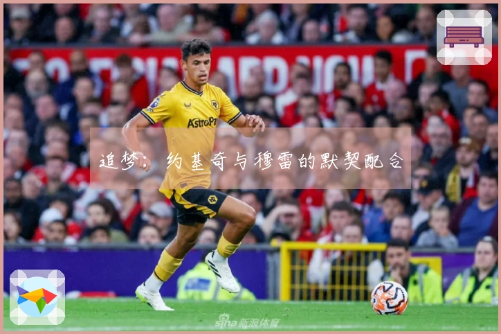 追梦：约基奇与穆雷的默契配合