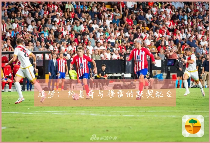 追梦：约基奇与穆雷的默契配合